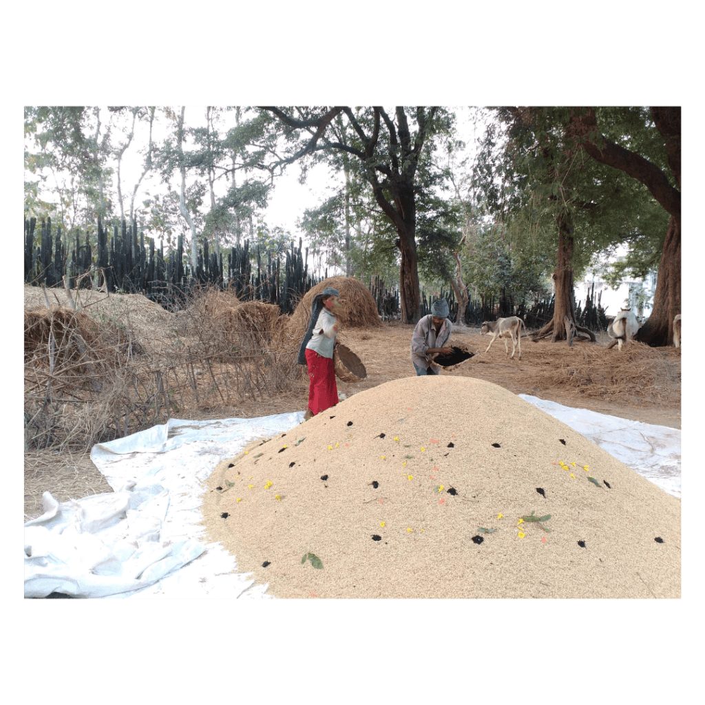 EXPLORING TALES OF FARMLANDS WITH SATYANARAYANA GAVARA