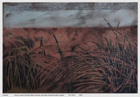 SANAL PT | Untitled | Acrylic, brown and black charcoal, red and black oxide on paper | 22 x 31 ″