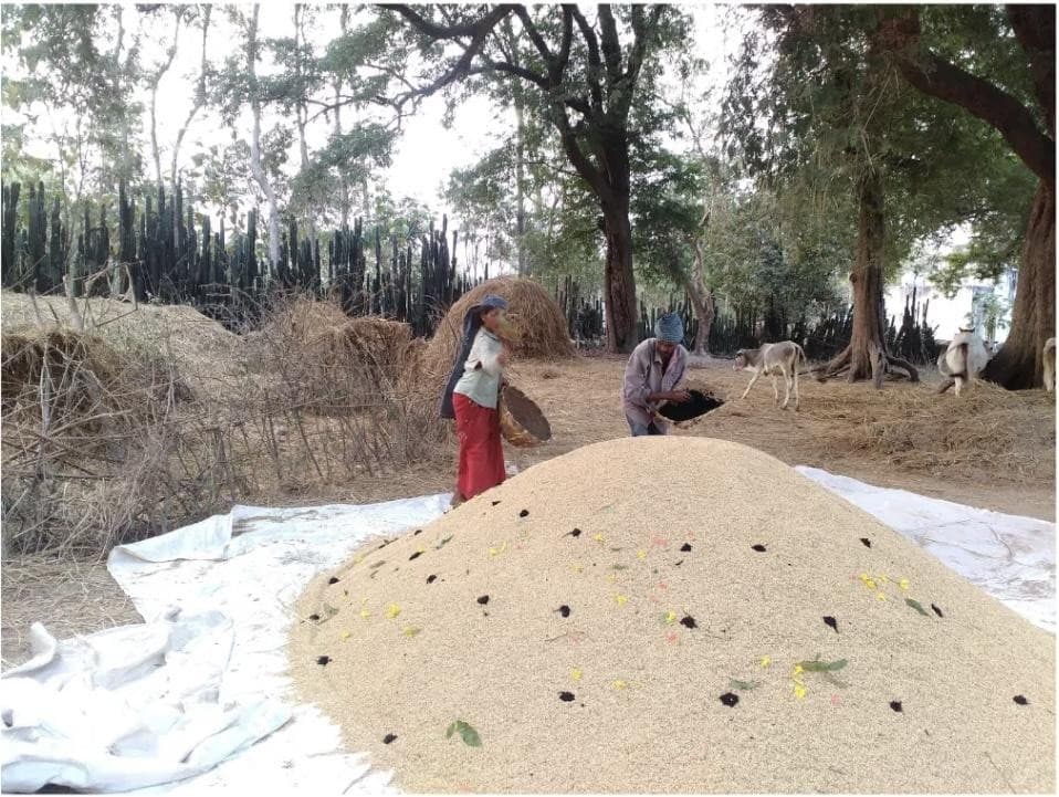 Materiality of Food and Farmlands