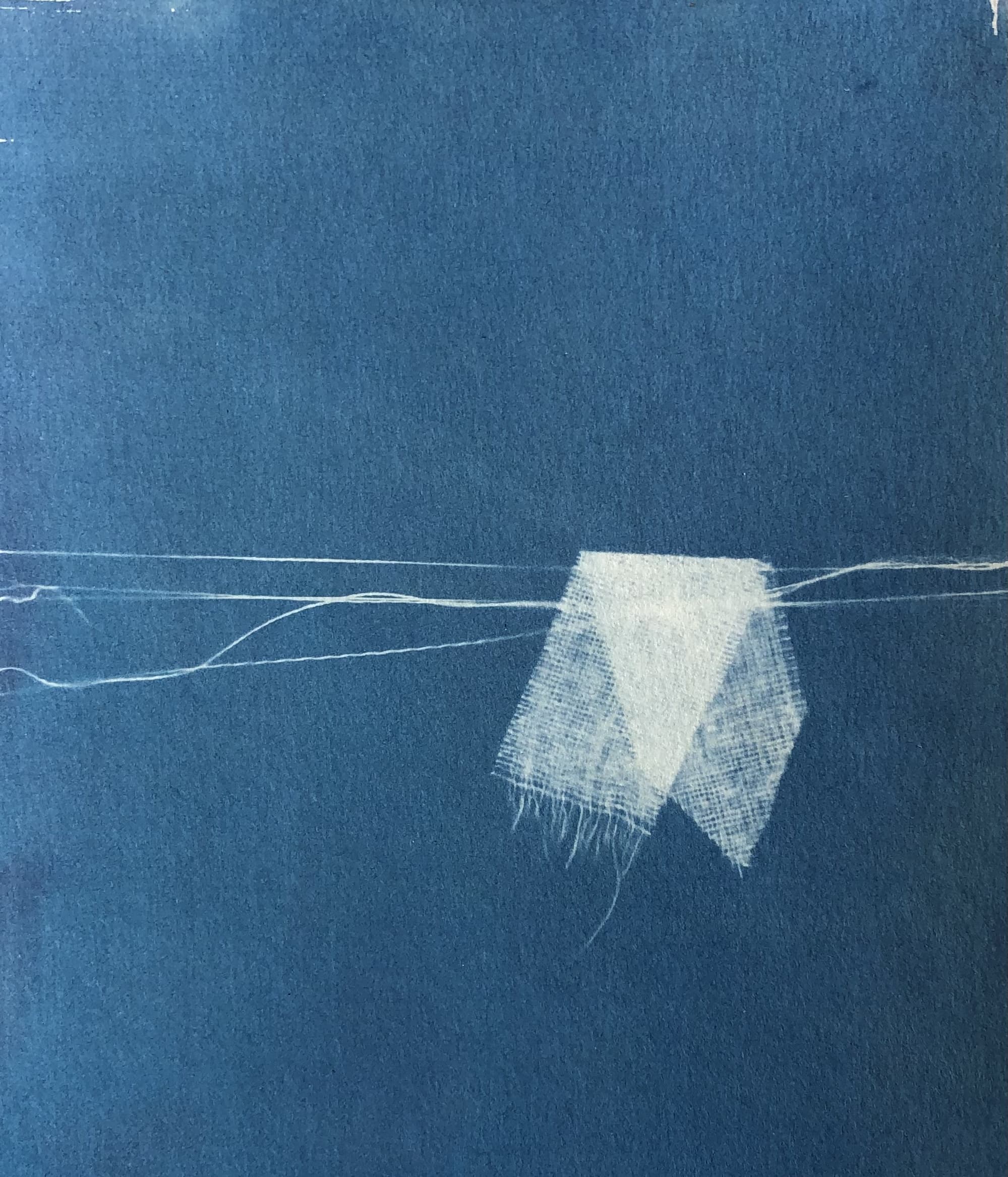 MEMORIES IN BLUE