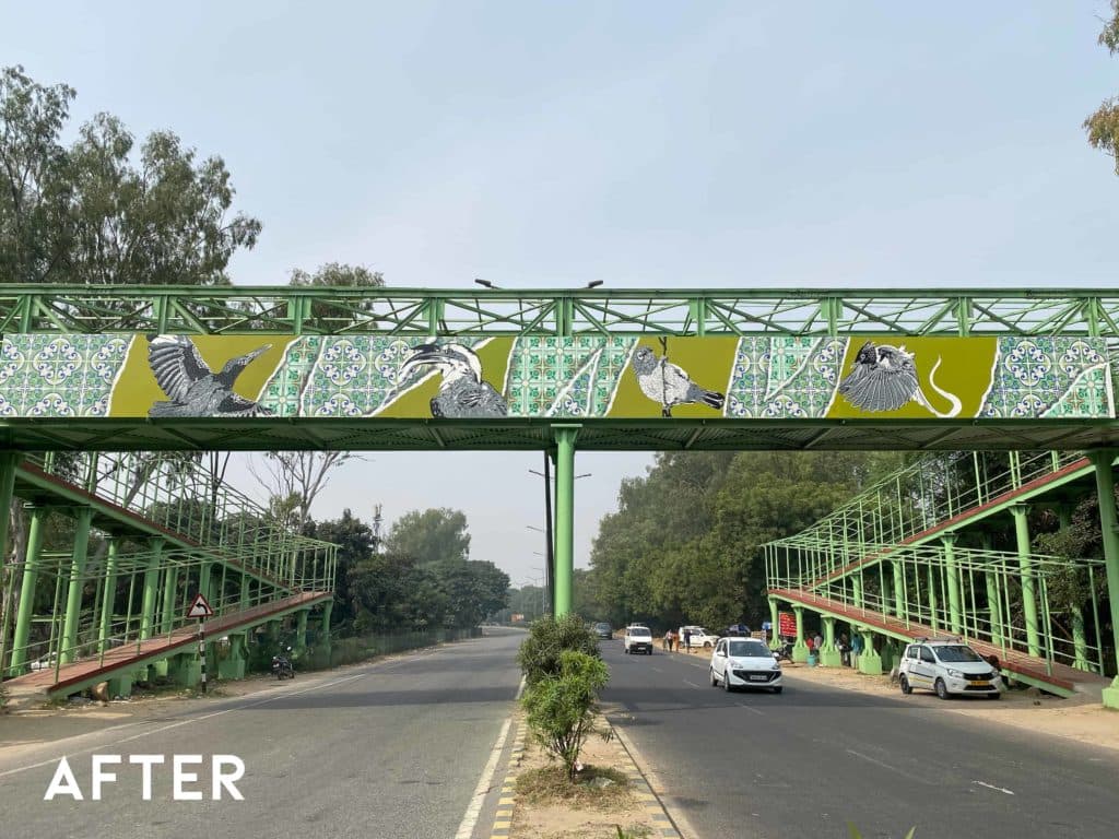bridge after website photo