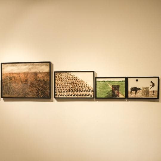 Sanal artwork