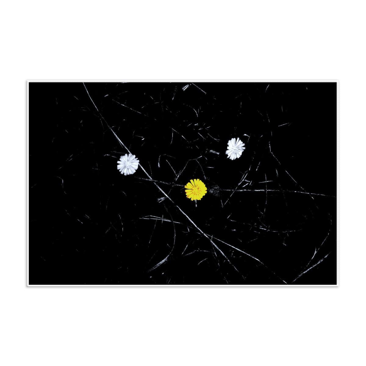 Untitled III – (Edition 1/7)